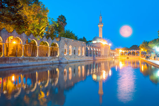 URFA 2